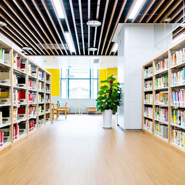 bookshelves-in-library