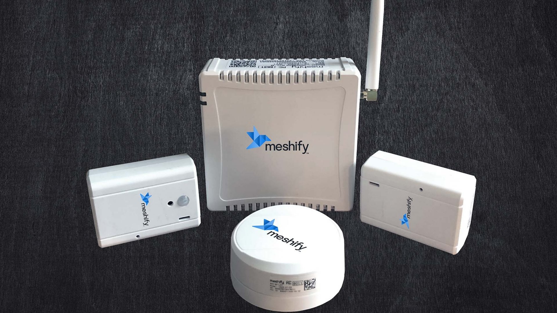 cellular loRaWAN