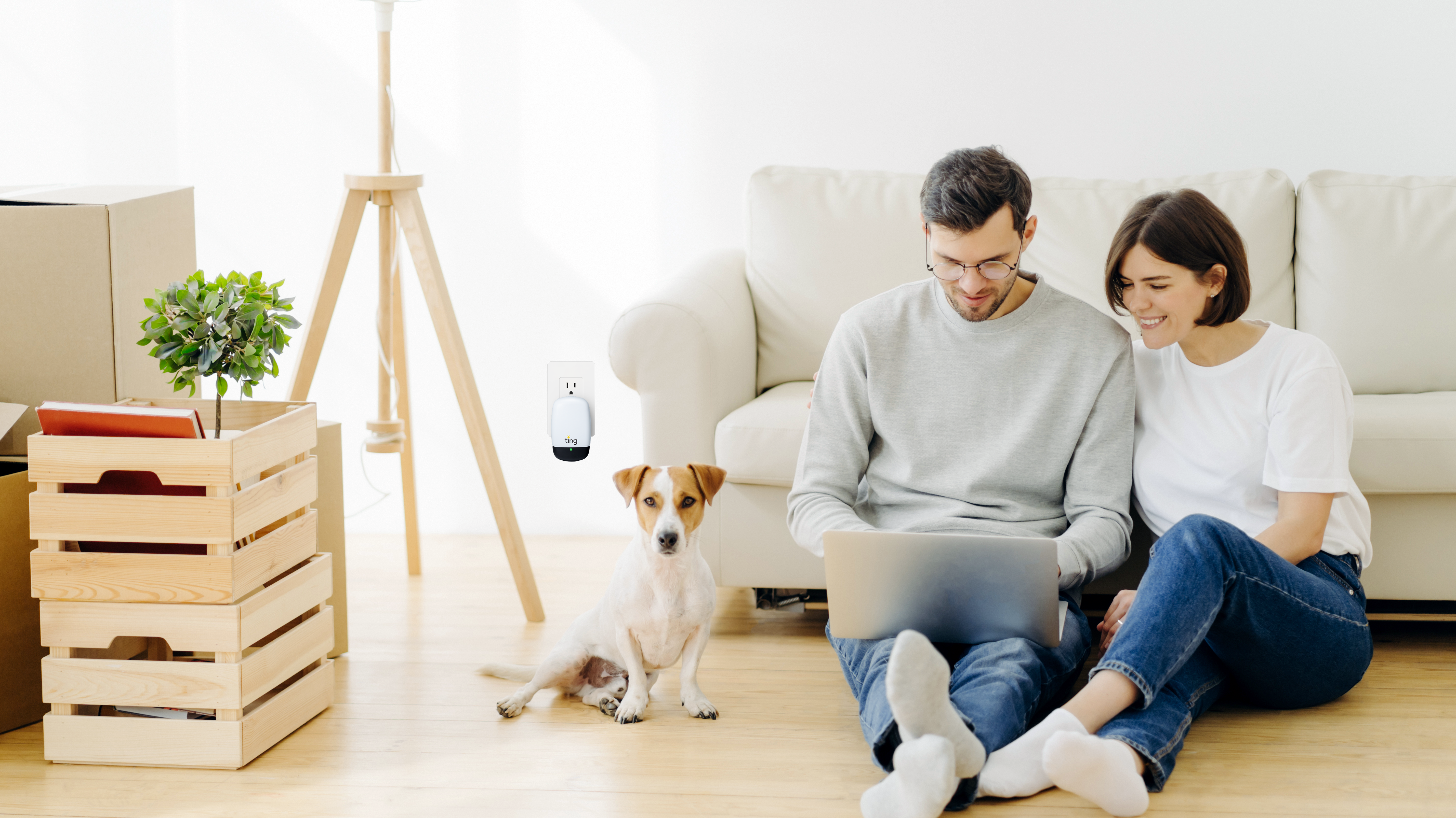 Ting Customer ting-dog-couple